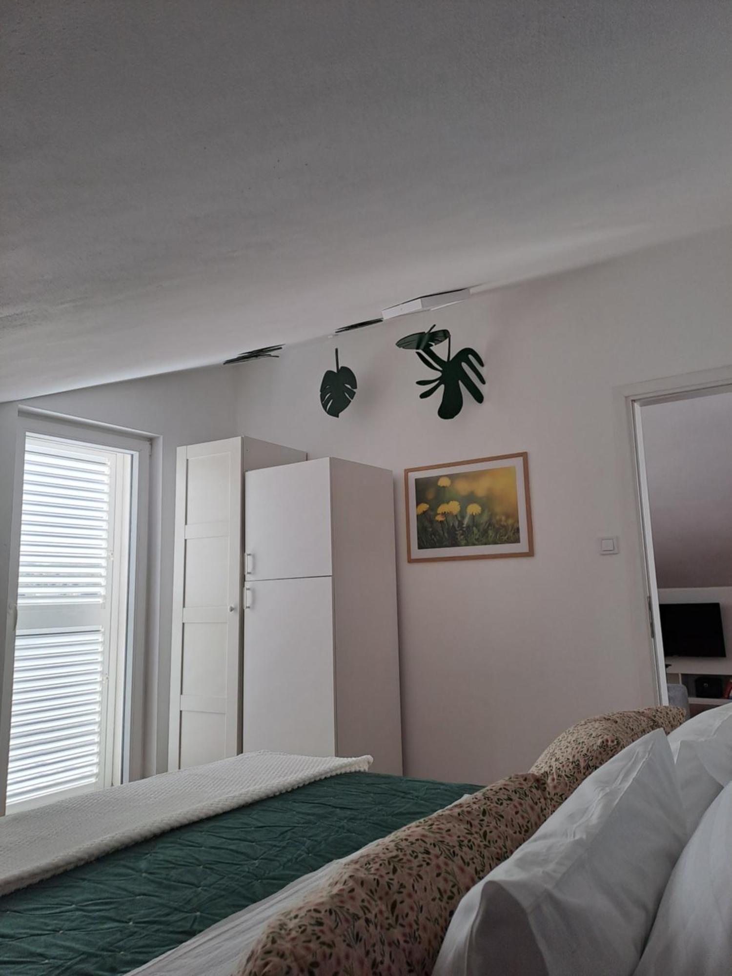 Apartments Tanya 希贝尼克 外观 照片